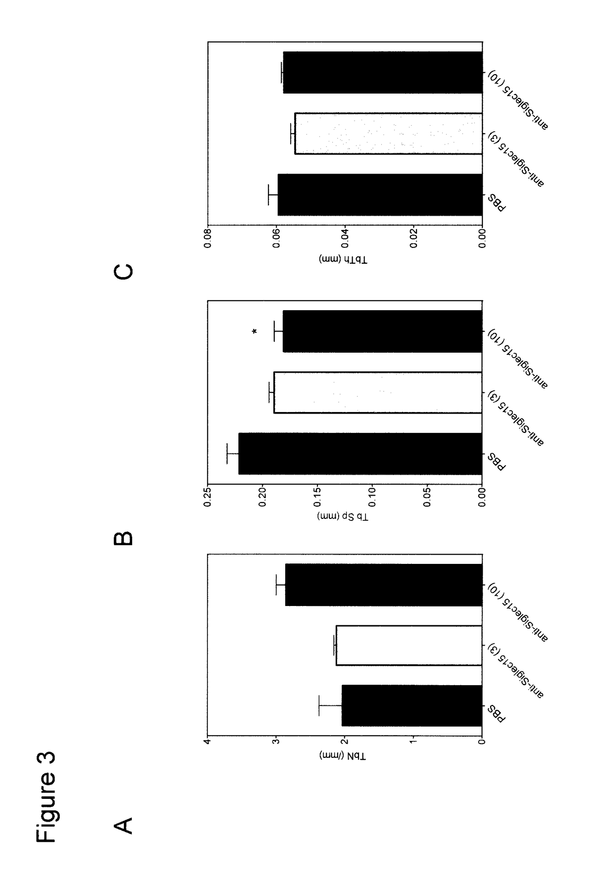 Anti-siglec-15 antibodies for use in treatment of osteogenesis imperfecta