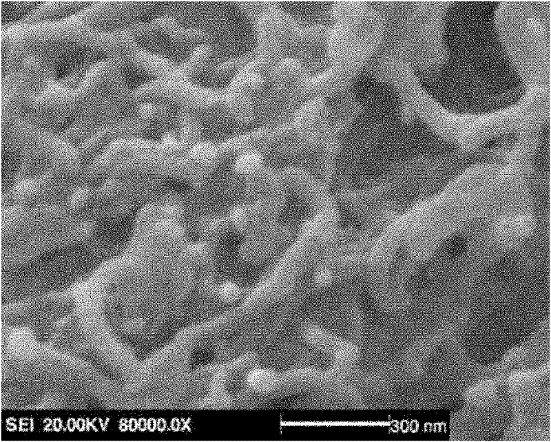 Method for preparing carbon nano tube loaded nano nickel powder material by liquid-phase reduction method