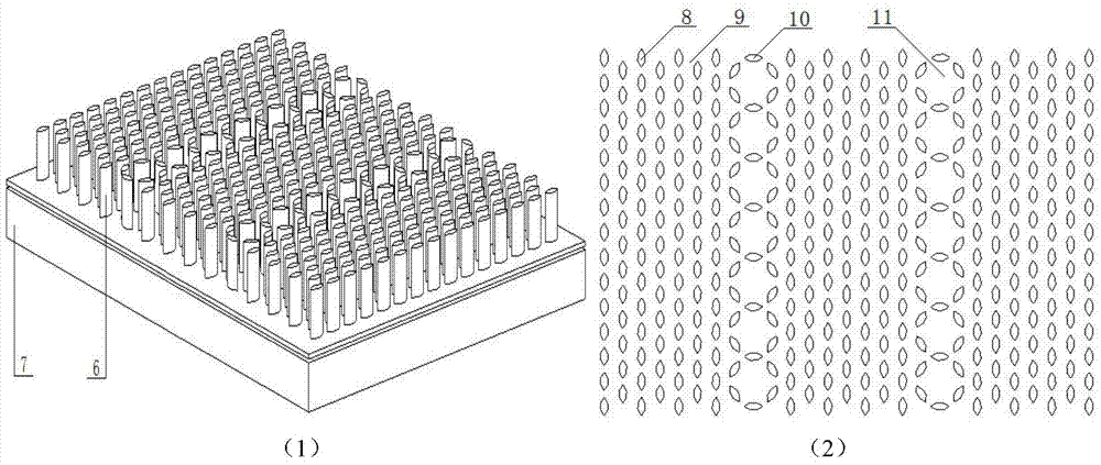 Two-dimensional silicon-based micro-nano photonic crystal solar cell