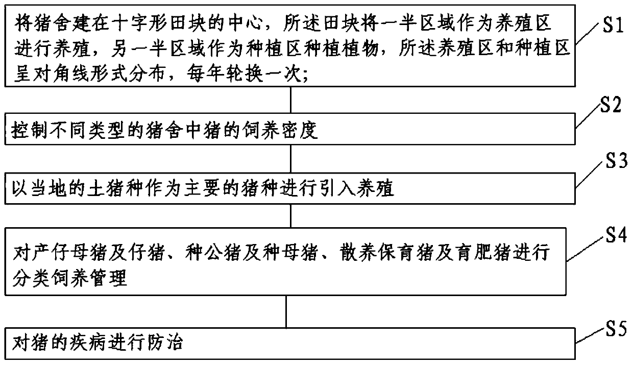 Large-scale environment-friendly organic ecological pig cultivation method