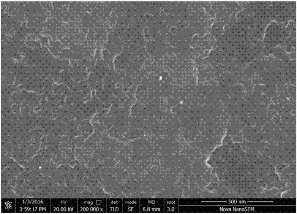 In-situ prepared substrate, dense layer and porous layer integrated perovskite solar cell and method thereof