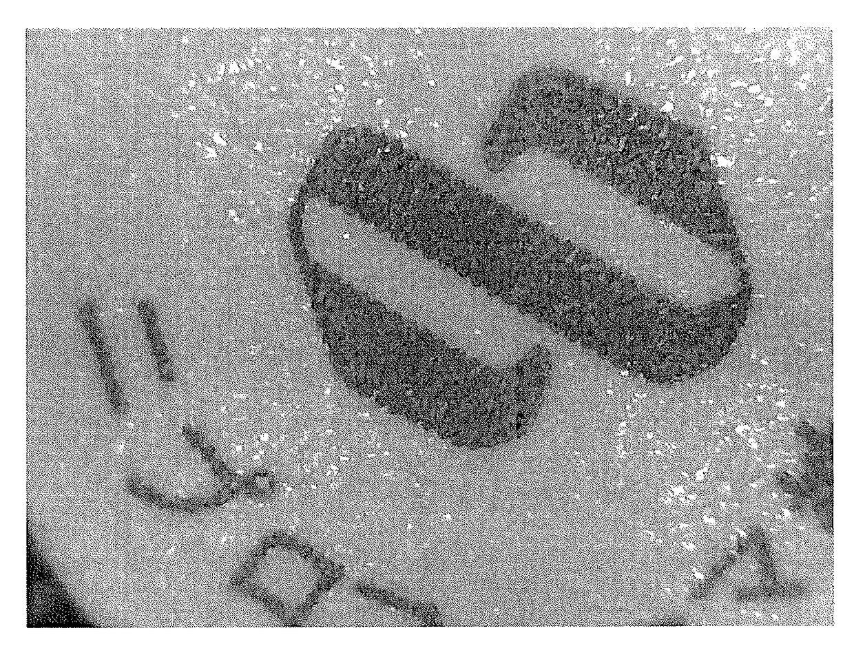 Laser-printable tablet, and method for manufacturing the same