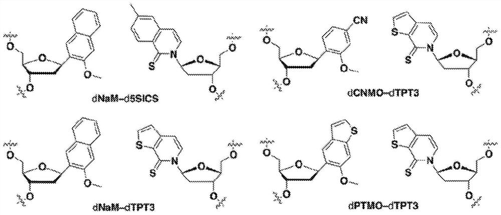 Compositions and methods for in vivo synthesis of non-natural polypeptides