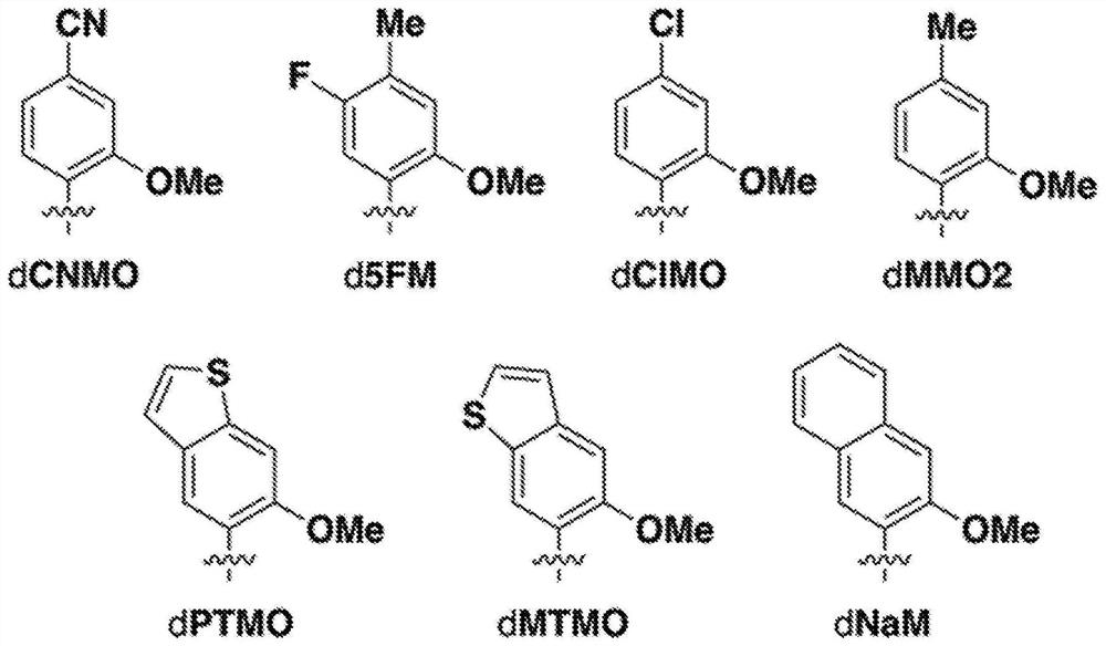 Compositions and methods for in vivo synthesis of non-natural polypeptides