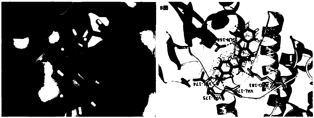 Fascaplysin derivative as well as preparation method and application