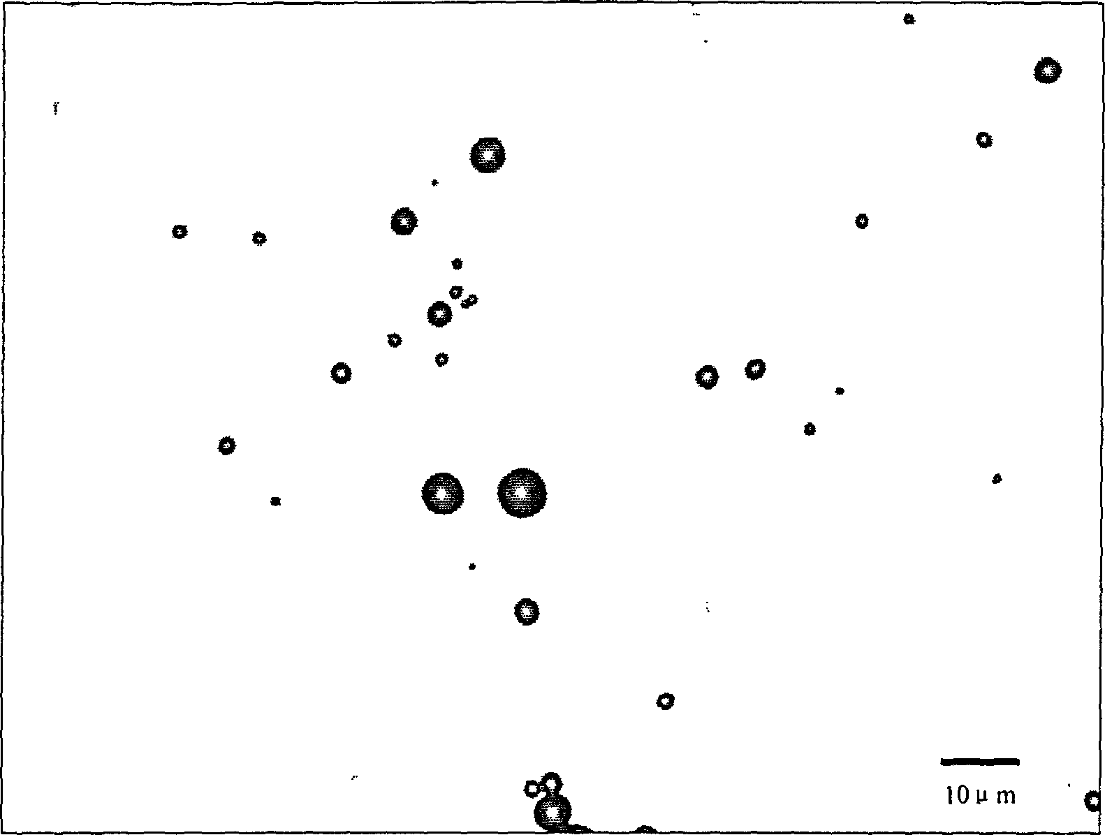 Method and use of closed hydrophilic and lipophilic liquid-phase hollow capsules with cores