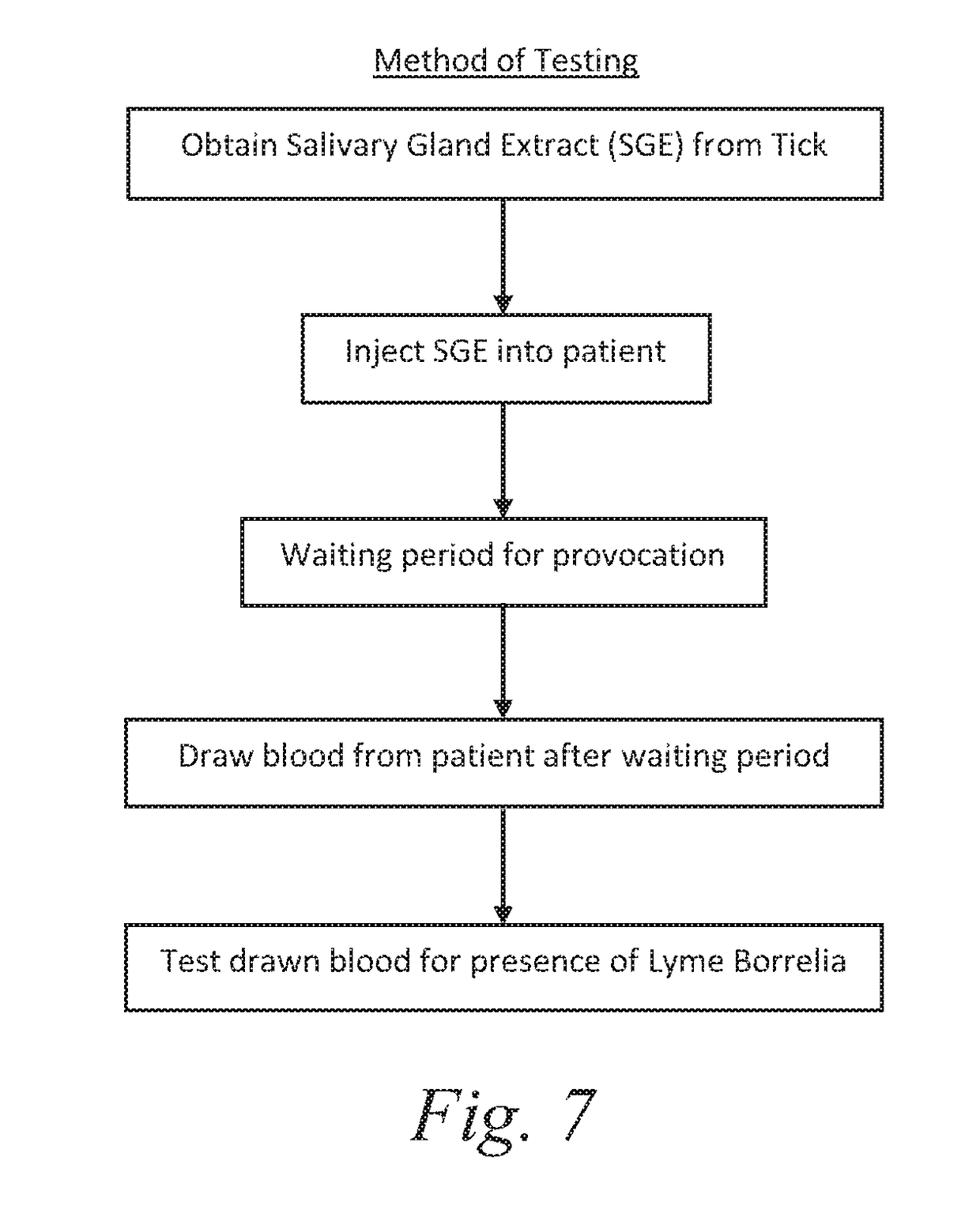 Borrellia provocation procedure protocol