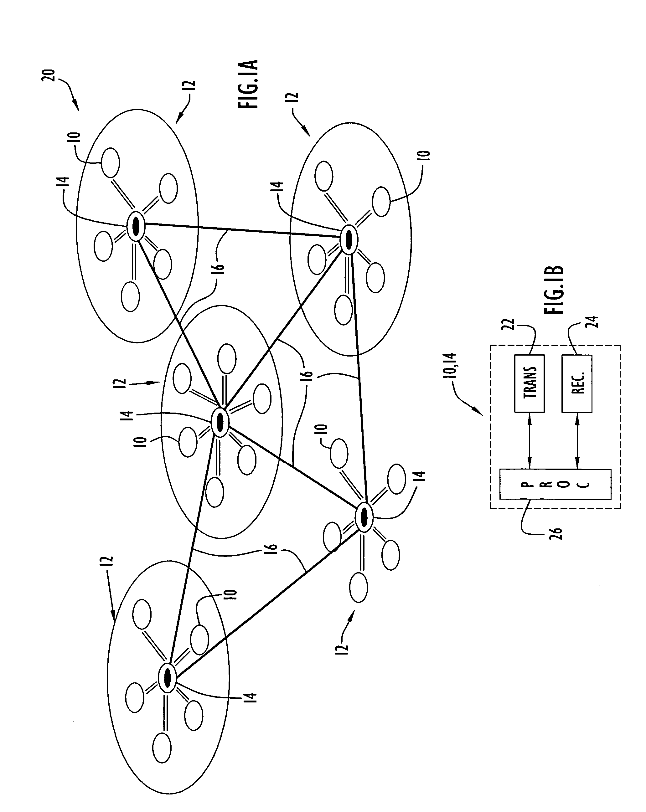 Method and apparatus for dynamic neighbor discovery within wireless networks using time division multiple access (TDMA)