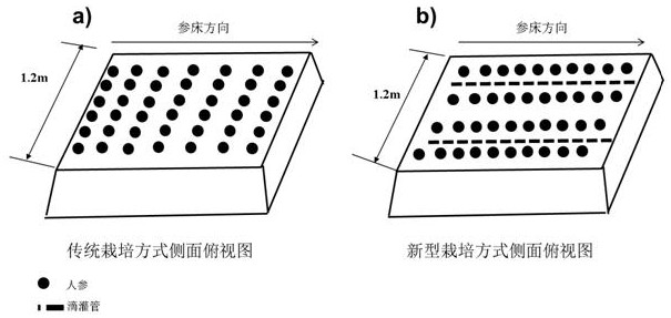 A kind of efficient cultivation method of ginseng in farmland