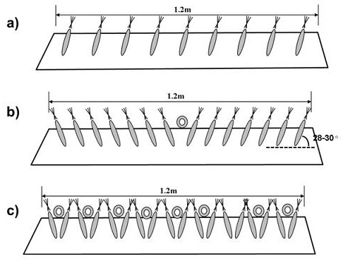 A kind of efficient cultivation method of ginseng in farmland