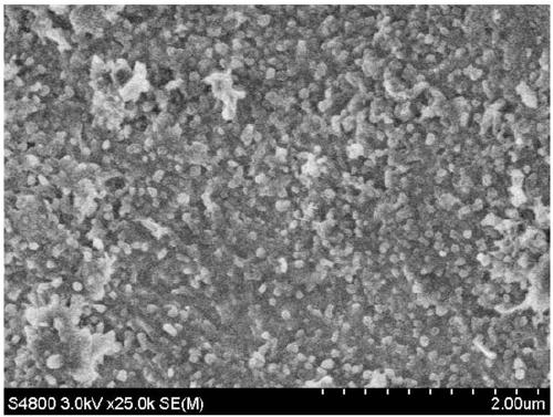 Self-supporting palladium-based catalyst as well as preparation method and application thereof