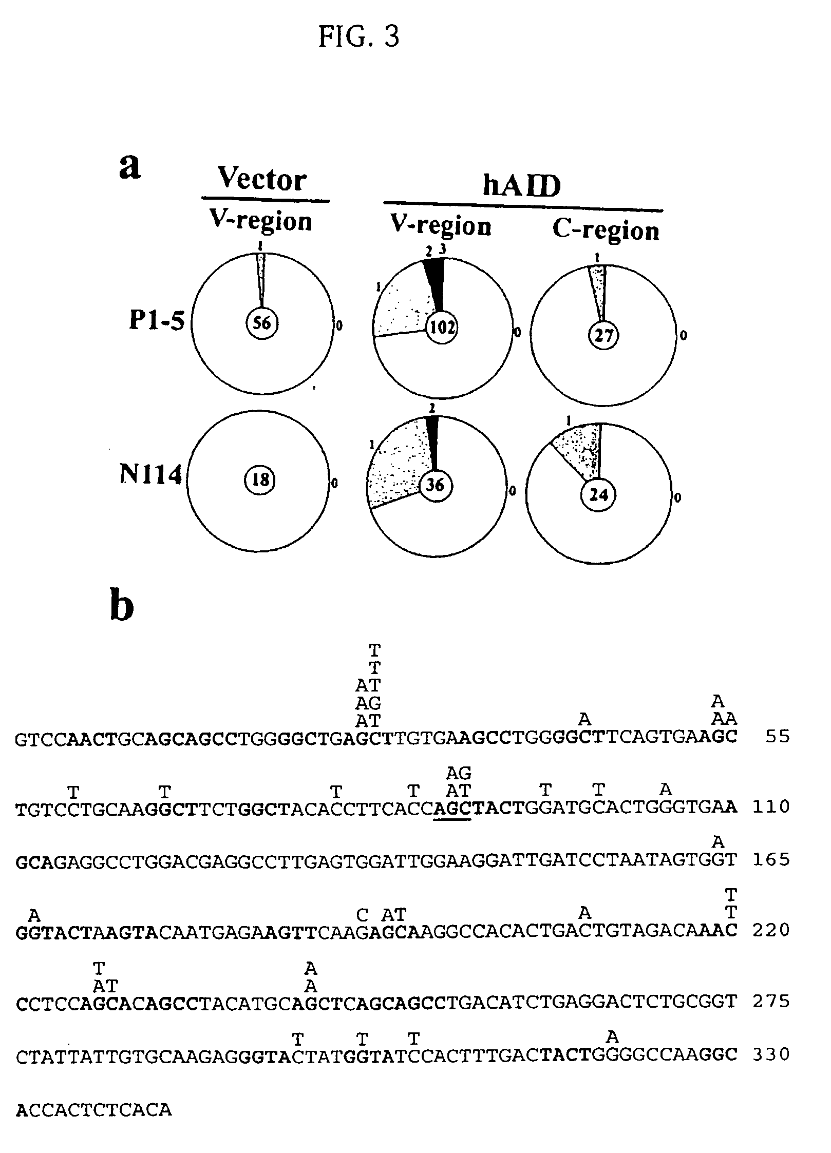 Mutations caused by activation-induced cytidine deaminase