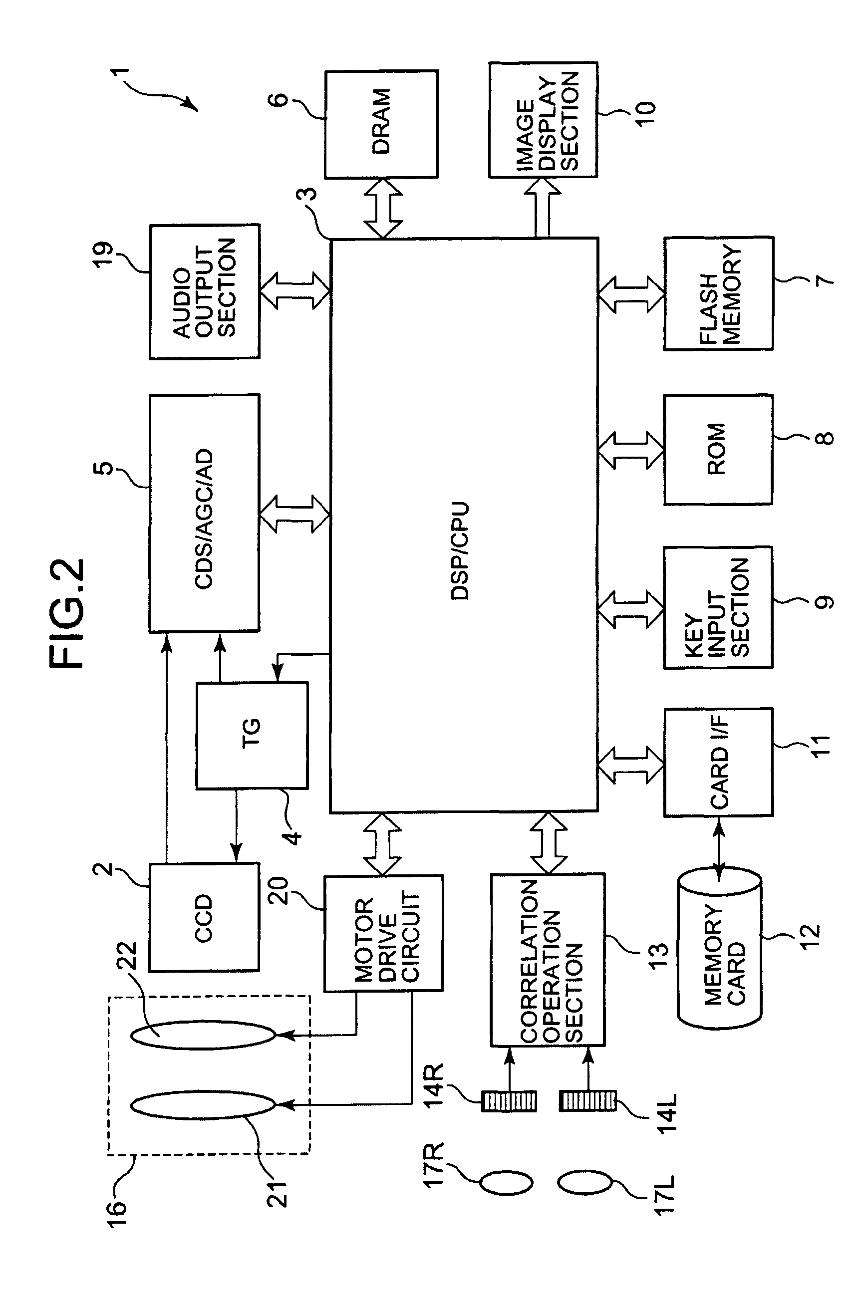 Electronic camera equipped with an automatic focusing function