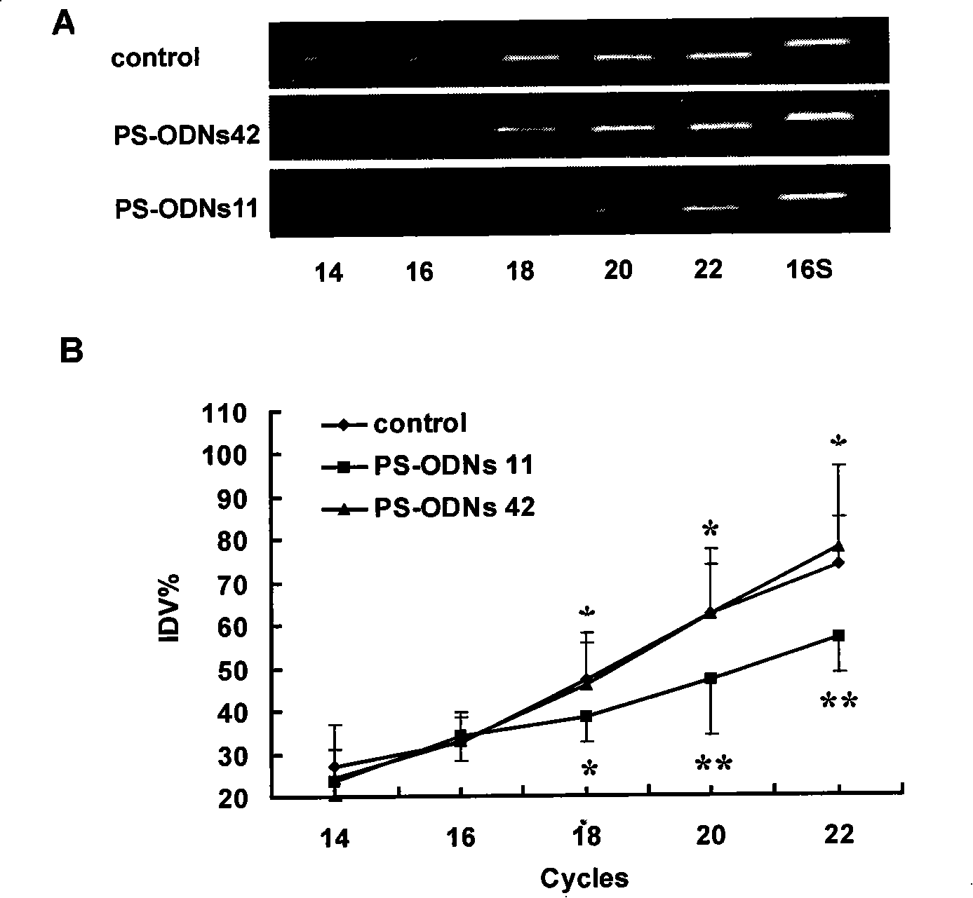 Antisense nucleic acid of resistant and tolerant dimethoxyphenecillin staphylococcus aureus drug resistant gene