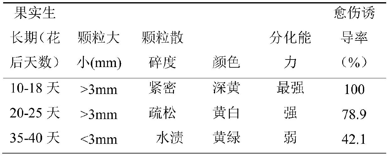 A method for inducing grape fruit callus and its culture medium