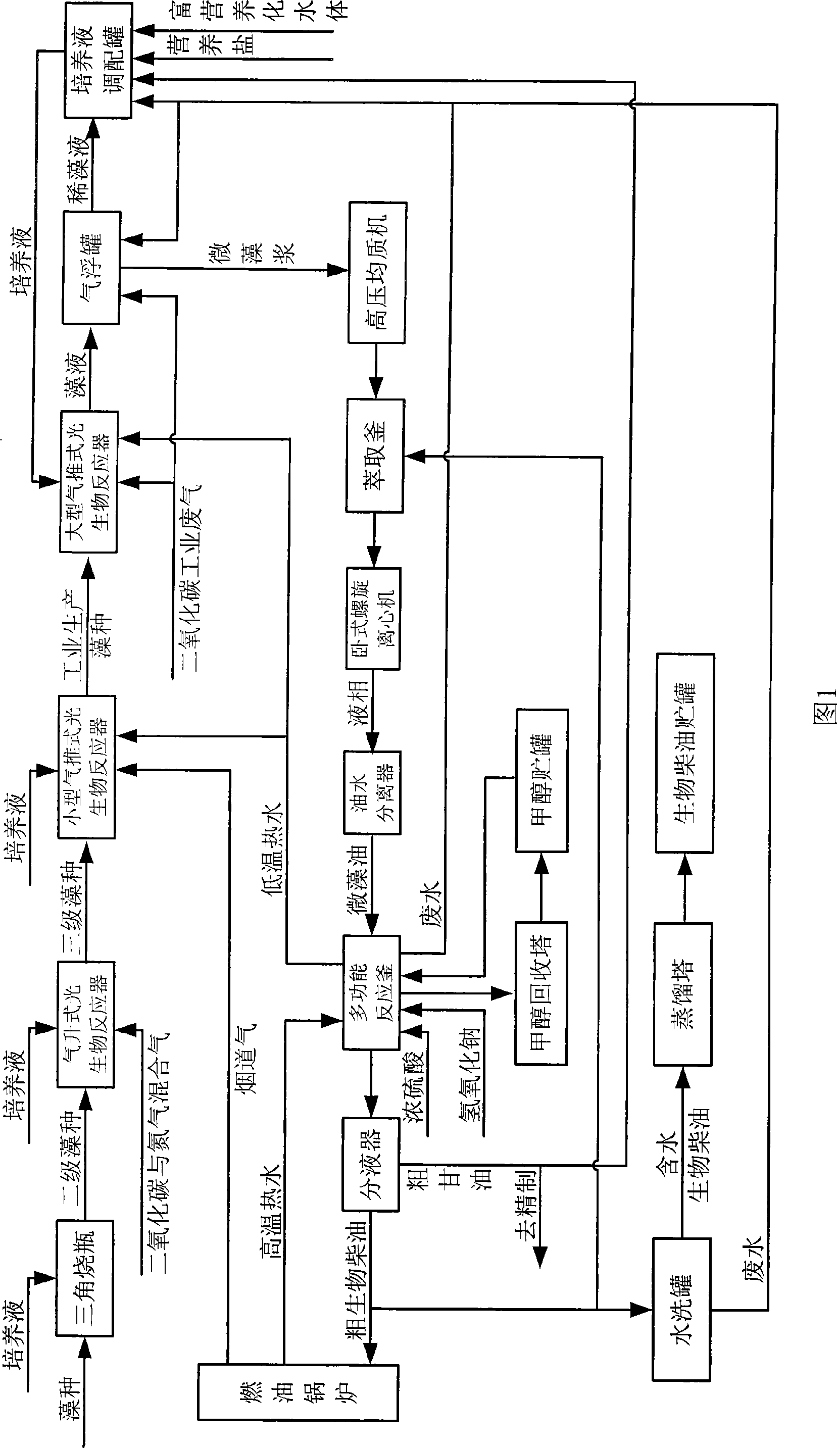 Process for preparing fine algae cultivation coupling biological diesel oil refining