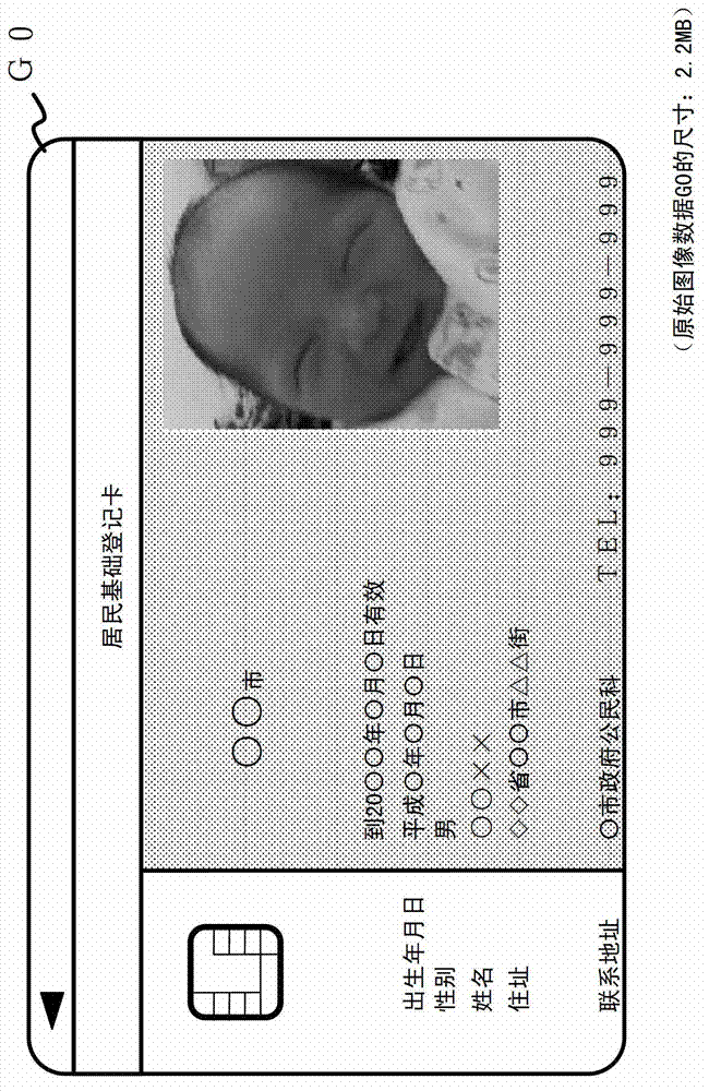 Image processing apparatus and image processing method