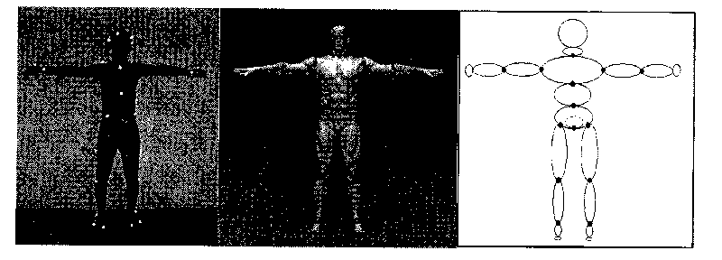 Method and system for estimating inertial parameters of human body parts