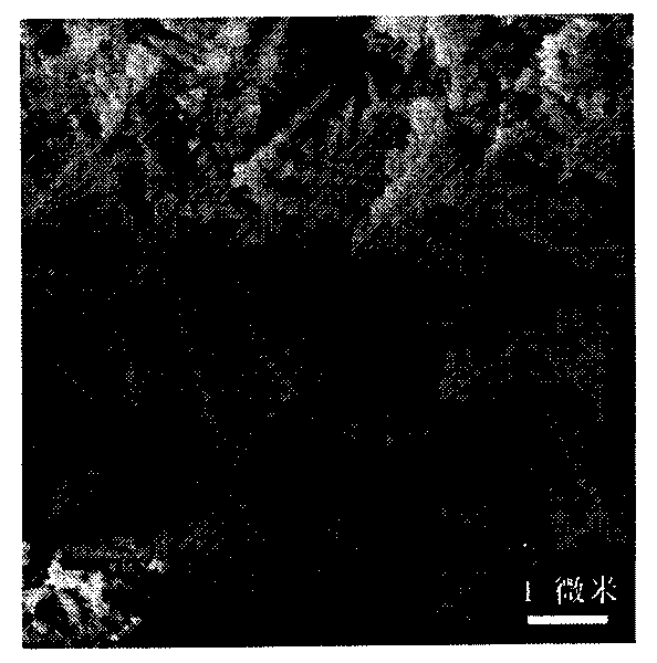 Solvent thermal induction control synthesis method for nano molybdate with scheelite structure