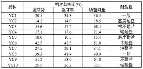 Seedling stage rapid evaluation method for rape seed salt tolerance