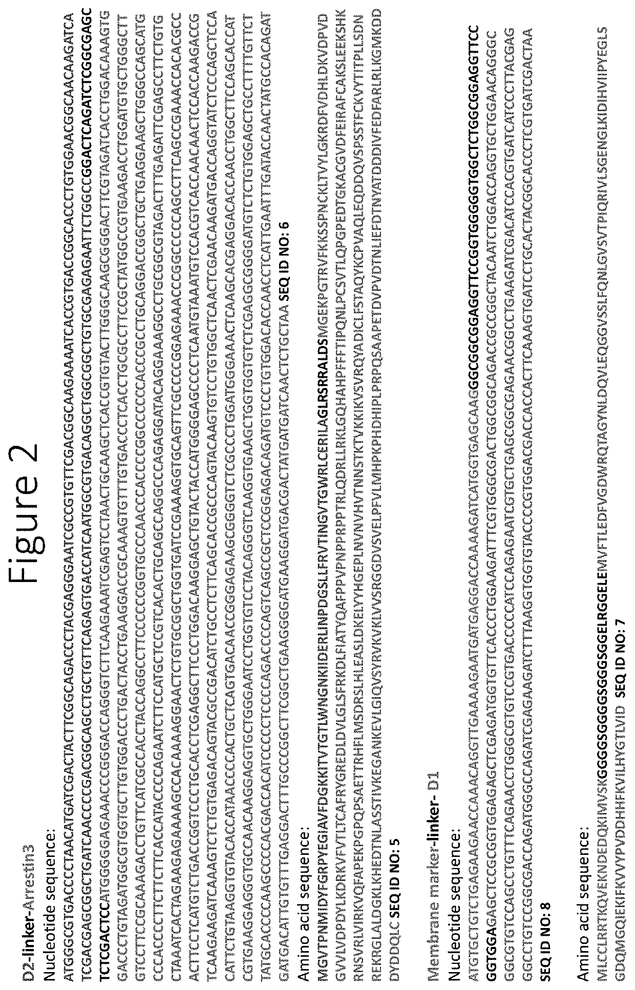 Assays using arrestin recruitment and unmodified receptors