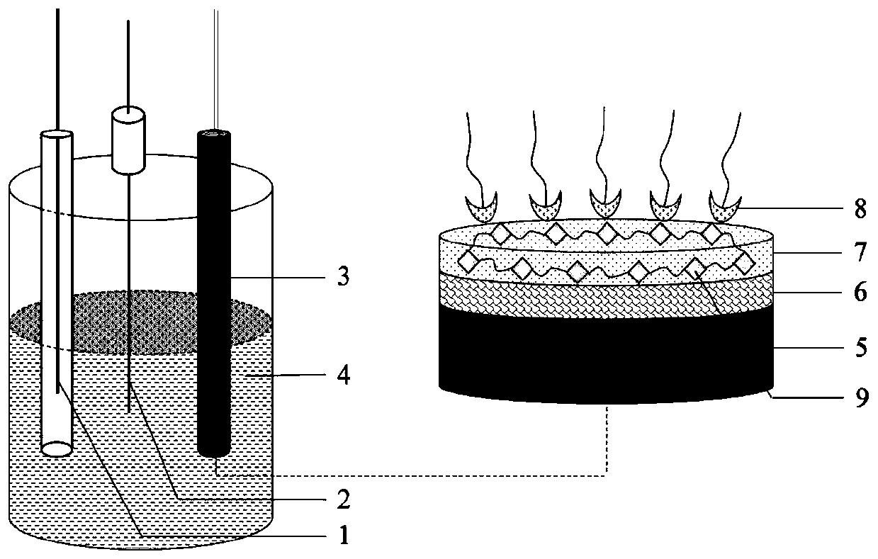 L-glutamic acid detection method and sensor based on polymer film modified electrode