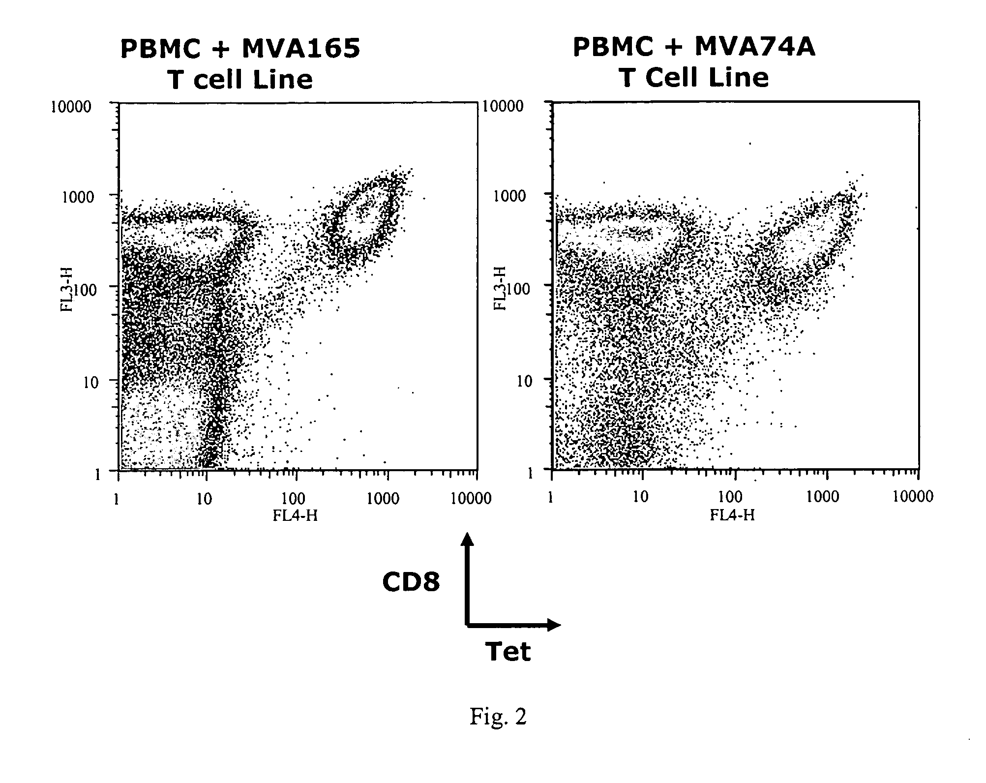 Identification of gene sequences and proteins involved in vaccinia virus dominant T cell epitopes