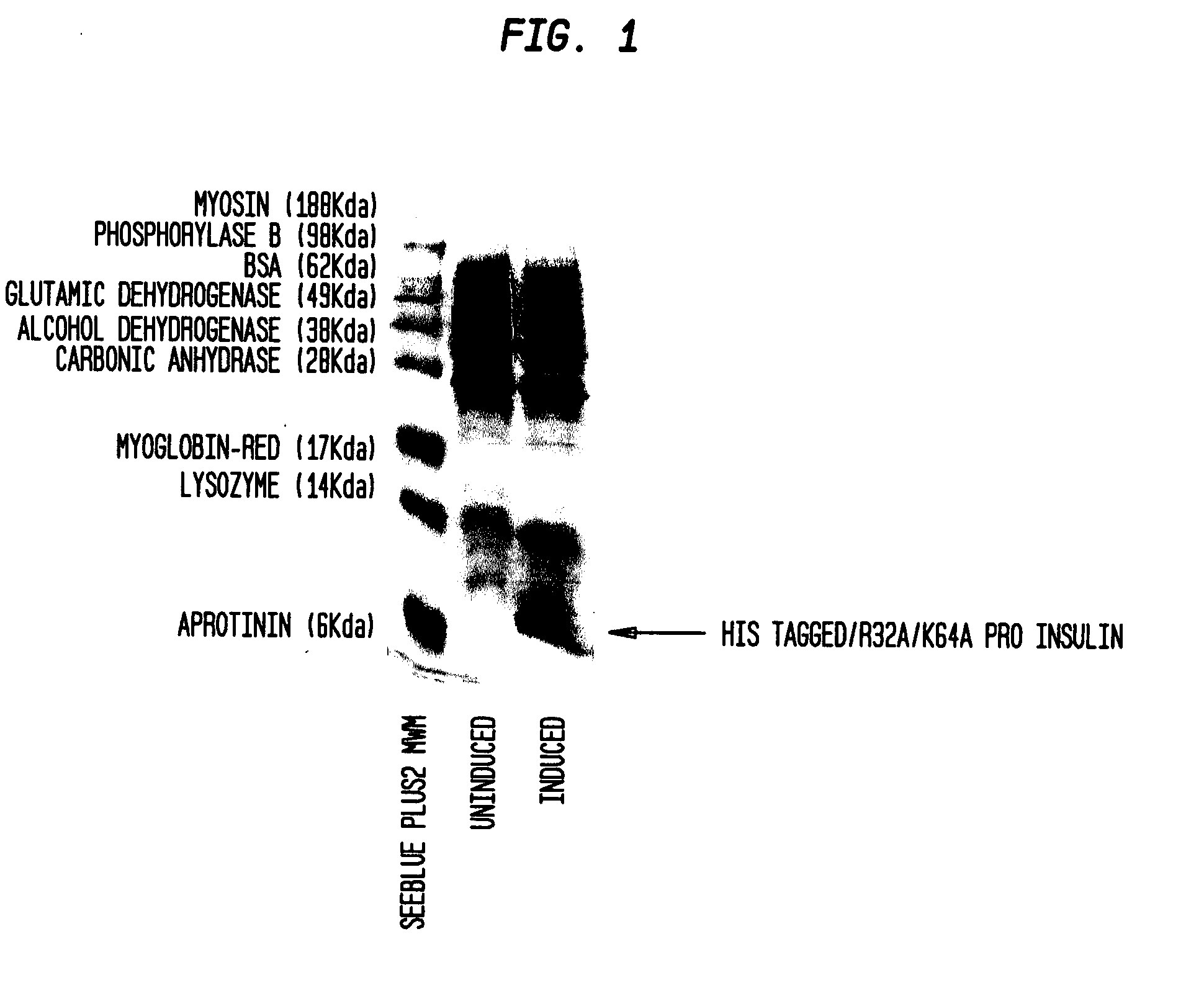 Insulin production methods and pro-insulin constructs