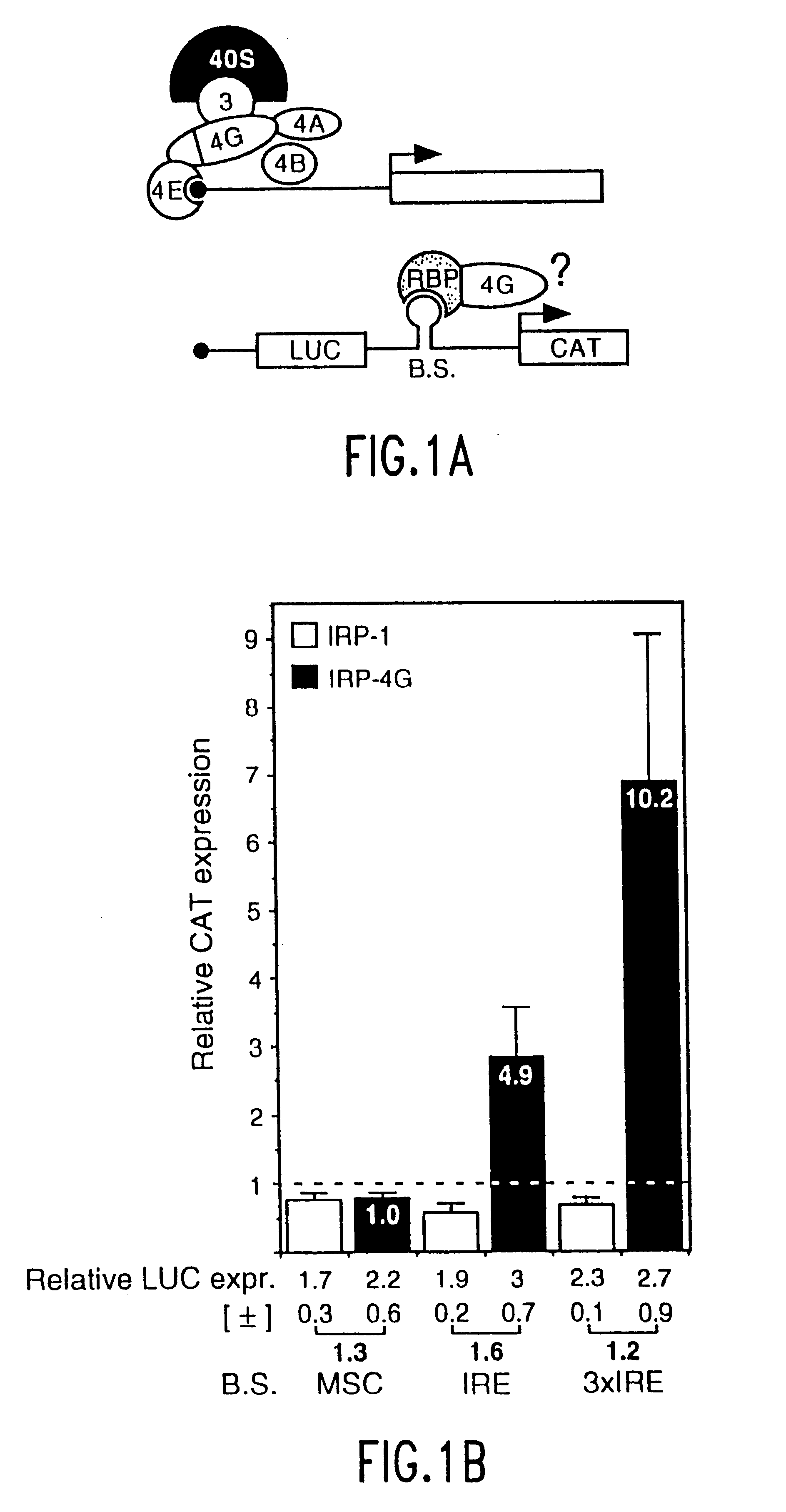 Translation driver system and methods for use thereof