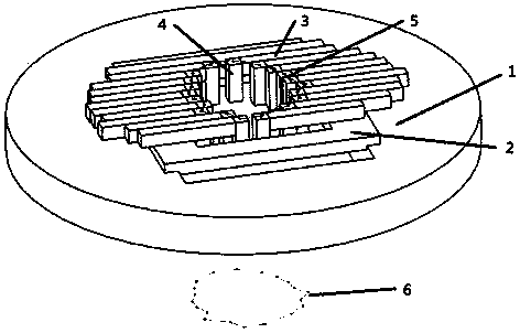 Ion beam radiation field simulation parallel light field indication device and method