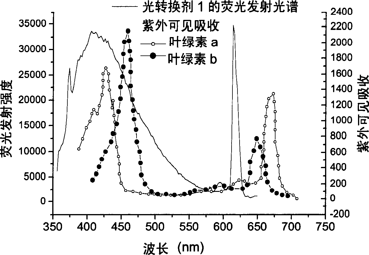 High molecular europium ligand, its preparing process and use