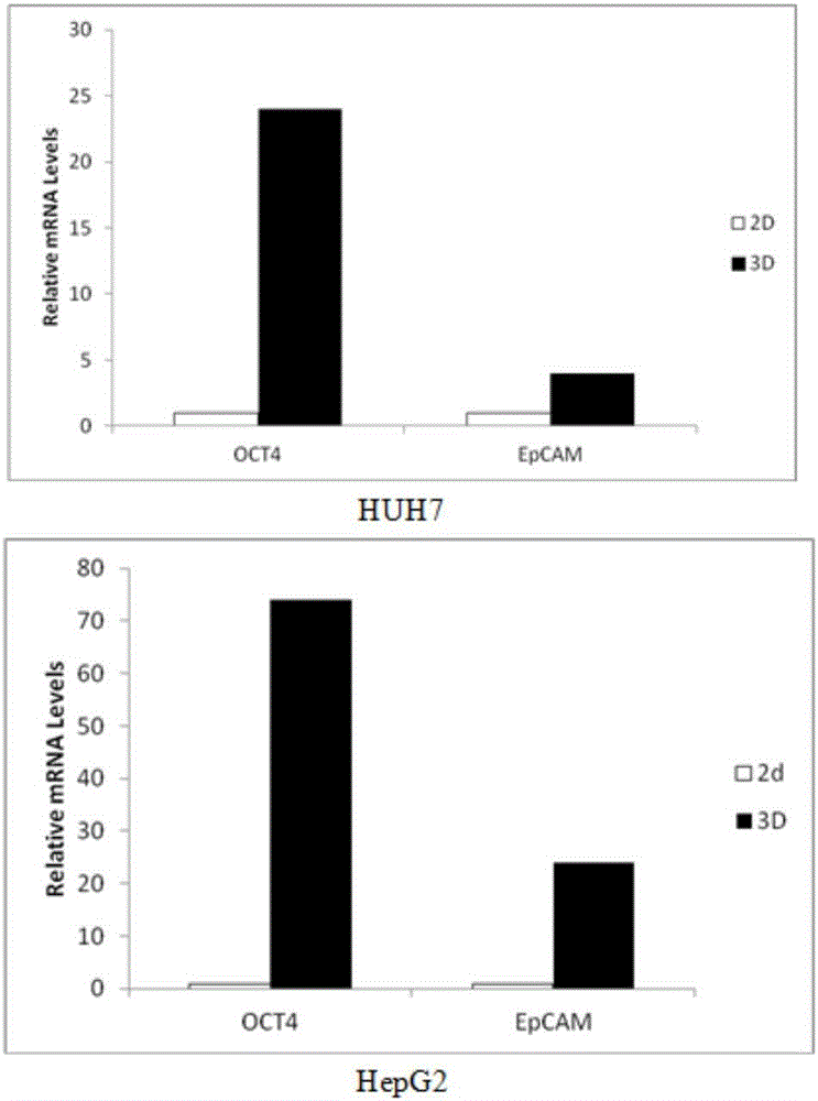 Method for inducing liver cell cells to be transformed into liver cancer stem cells