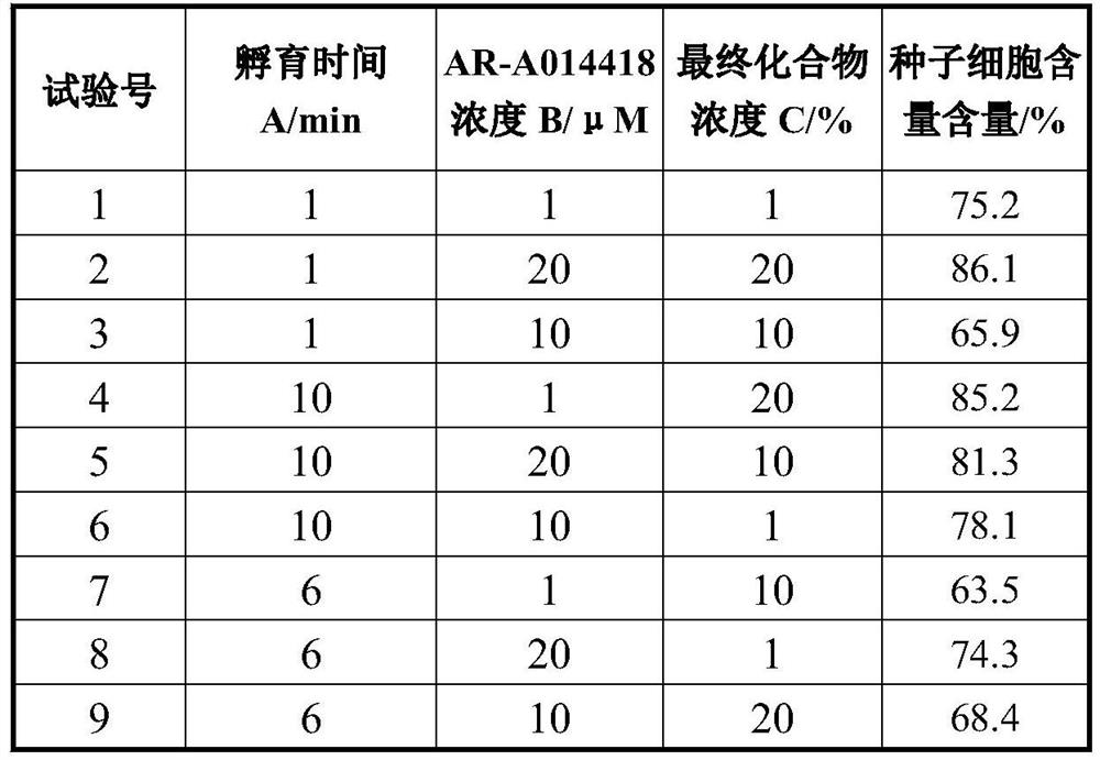 Patch for promoting wound healing and preparation method thereof