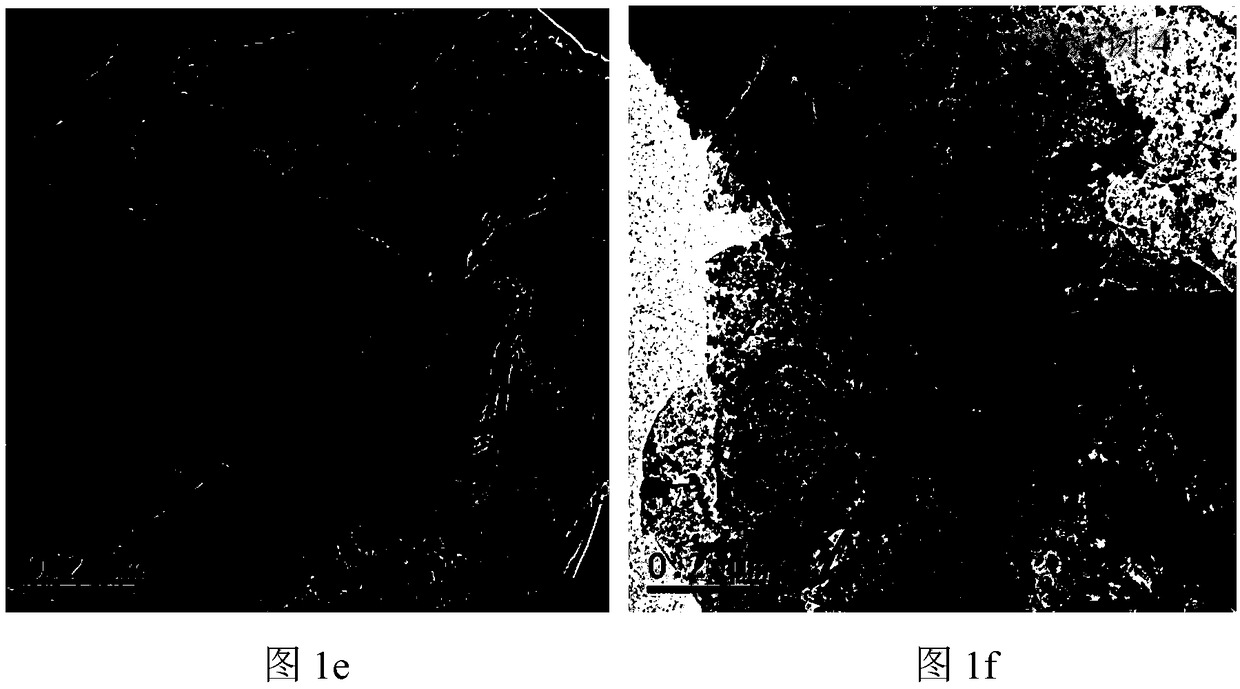 Weak visible light response compound photocatalyst and preparation thereof and application thereof