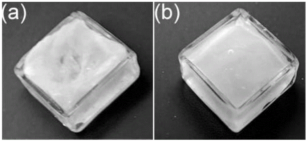 Quantum dot doped gel, and preparation and application thereof