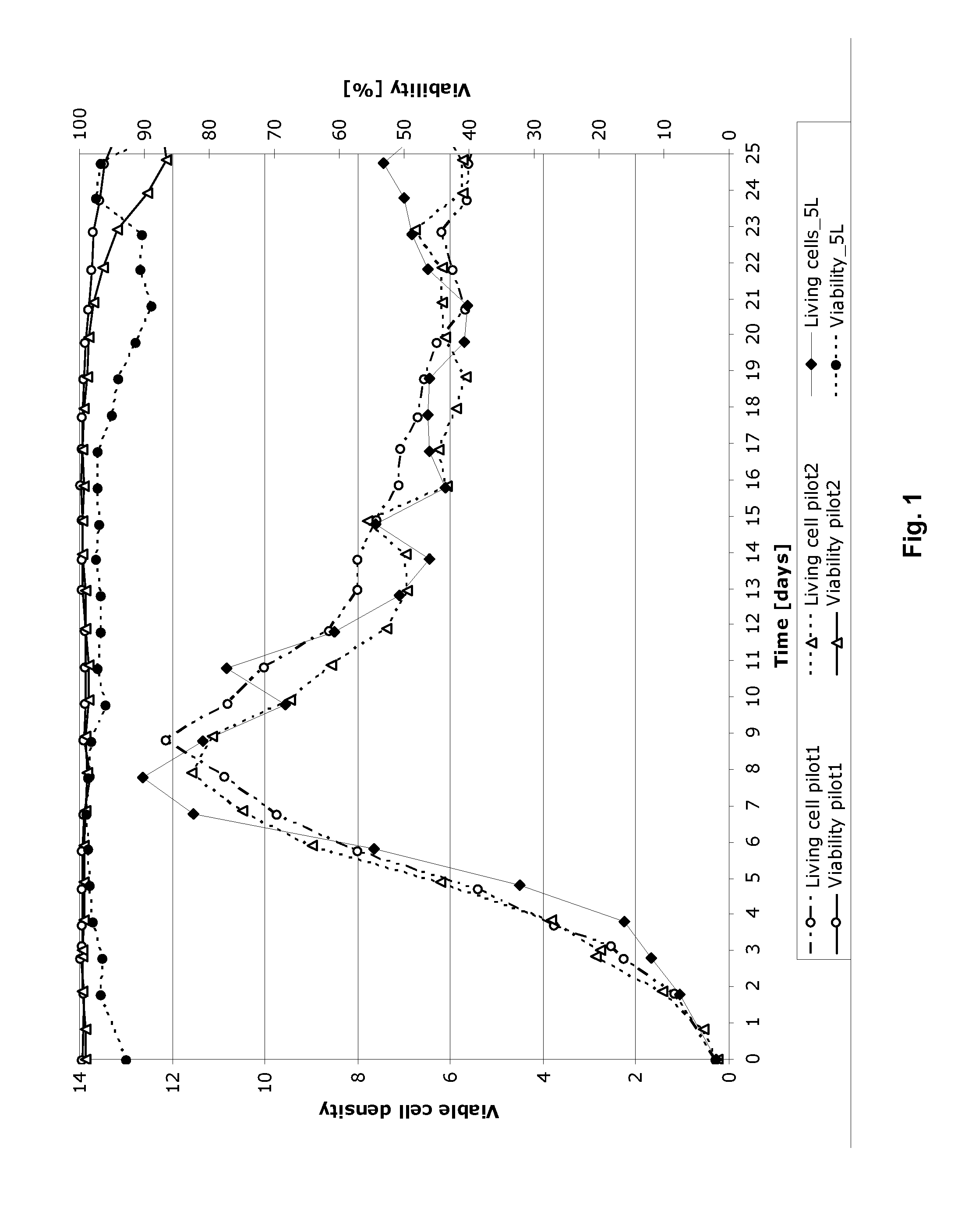 Process for Protein Production