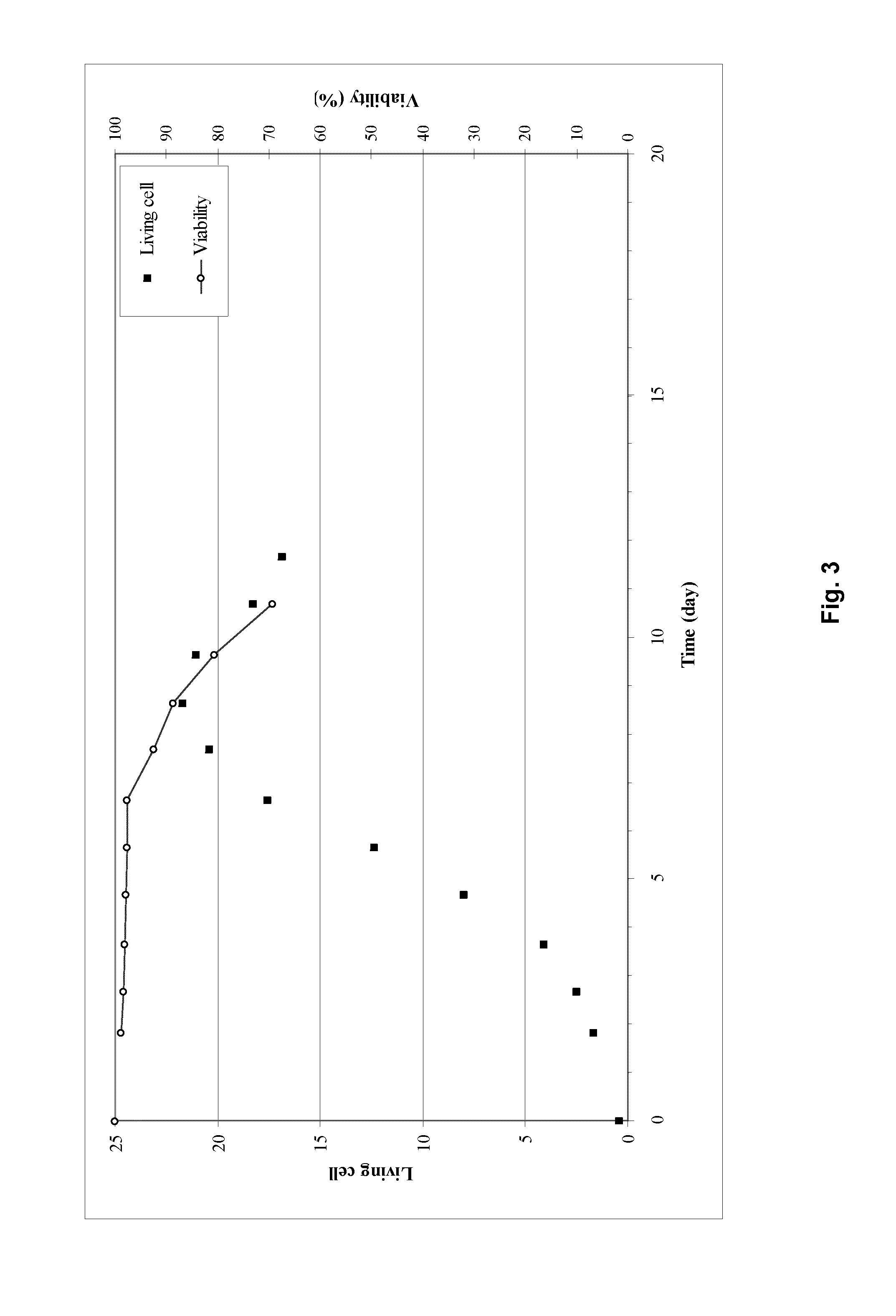 Process for Protein Production