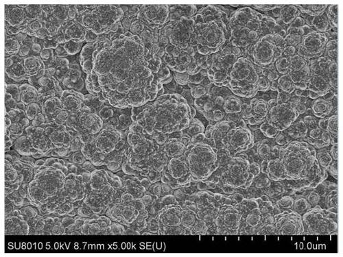 A kind of preparation method and application of bimetallic Cu-BI electrocatalytic denitrification electrode