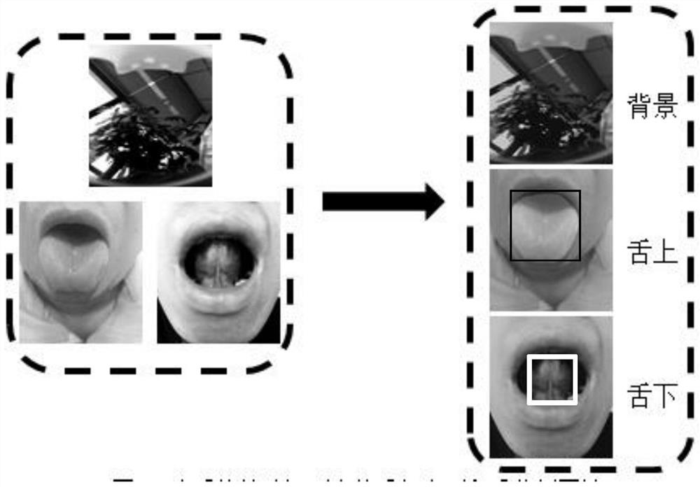 Mobile terminal tongue picture acquisition method, device and apparatus