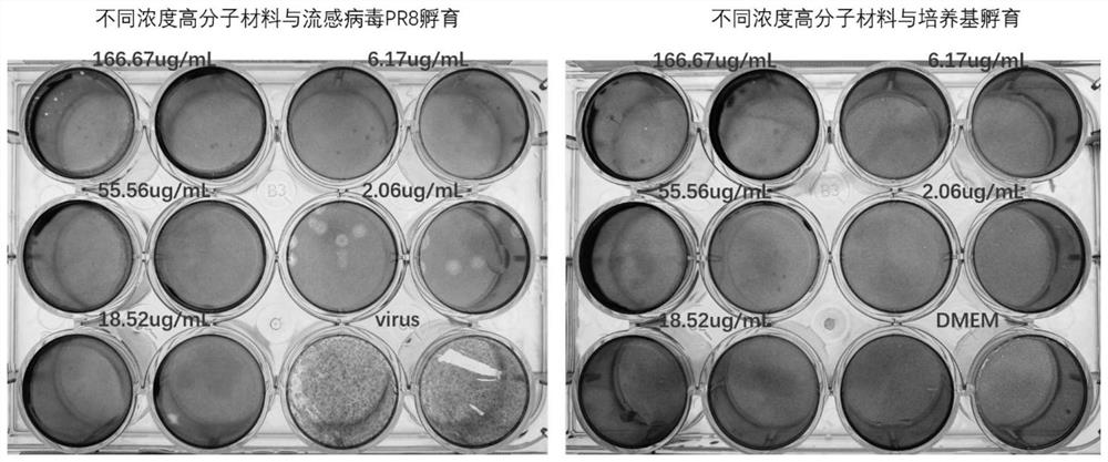 Water-soluble conjugated polymer with antibacterial and antiviral functions as well as preparation and application thereof