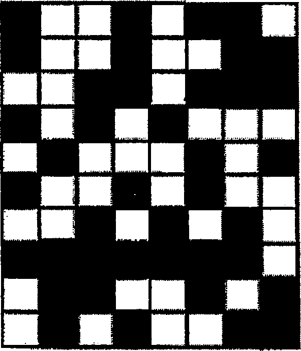 Identification information issuing system