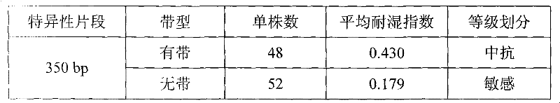 Molecular marker closely related to rape humidity resistance, preparation method and application thereof