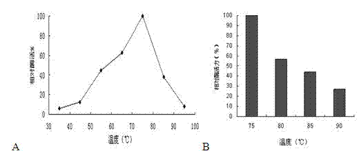 Recombinant strain capable of expressing thermostable Beta-galactosidase and construction method and application