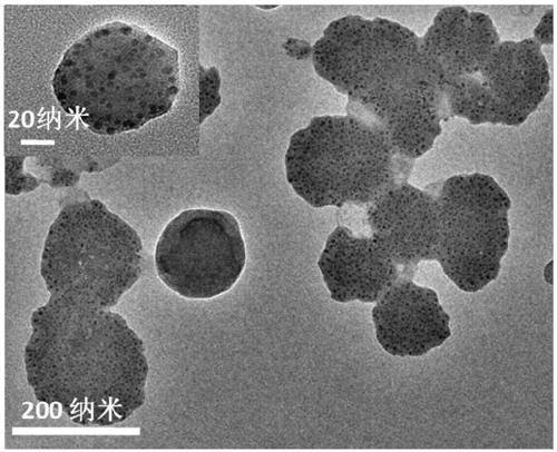 A near-infrared laser-driven mitochondria-targeted fluorescent polymer and its preparation method and application