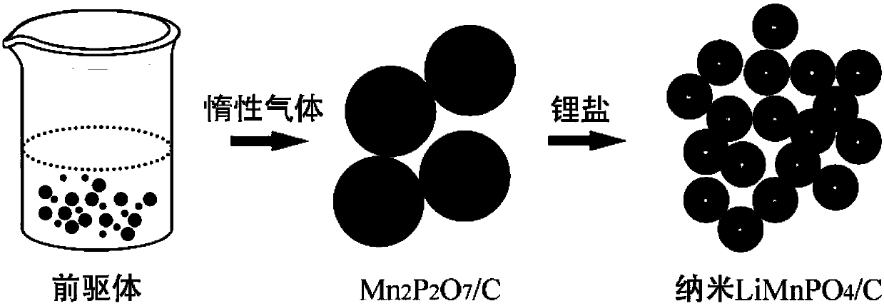 Nanometer manganese lithium phosphate/carbon positive electrode material and preparation method thereof