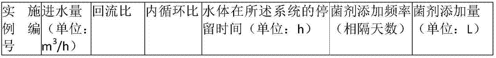 Ecological purification system and method for treating black and odorous water body