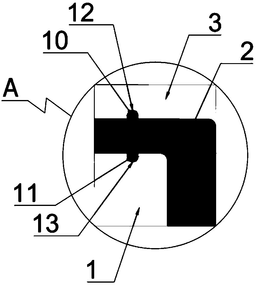 Hydrogen water preparation device and method