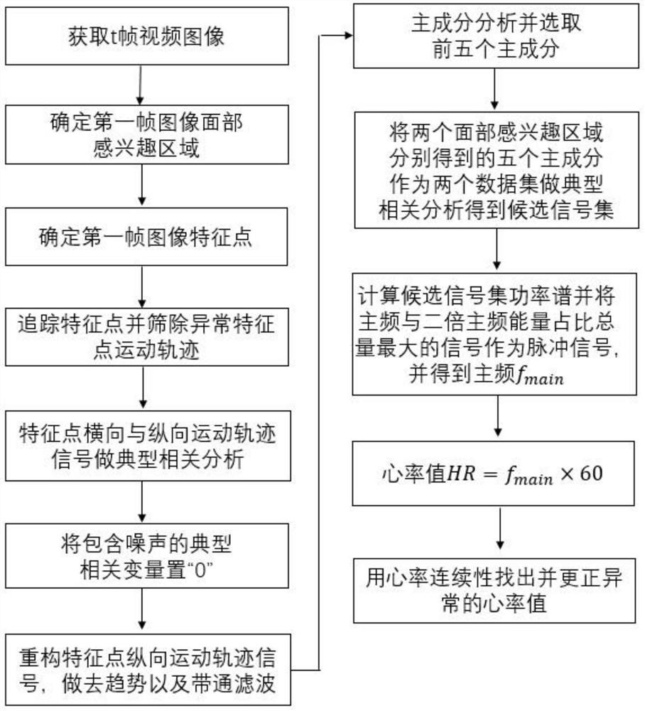 Non-contact visual heart rate detection method for eliminating motion noise of video ballistocardiogram signal