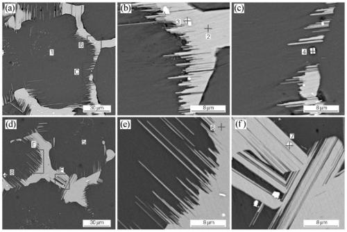 Mg-Gd-Y rare earth magnesium alloy cast ingot homogenization heat treatment method