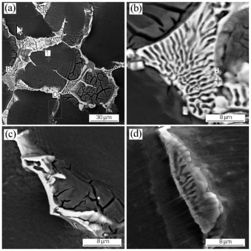 Mg-Gd-Y rare earth magnesium alloy cast ingot homogenization heat treatment method